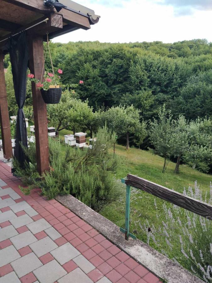 Guest House Bee Високо Екстериор снимка