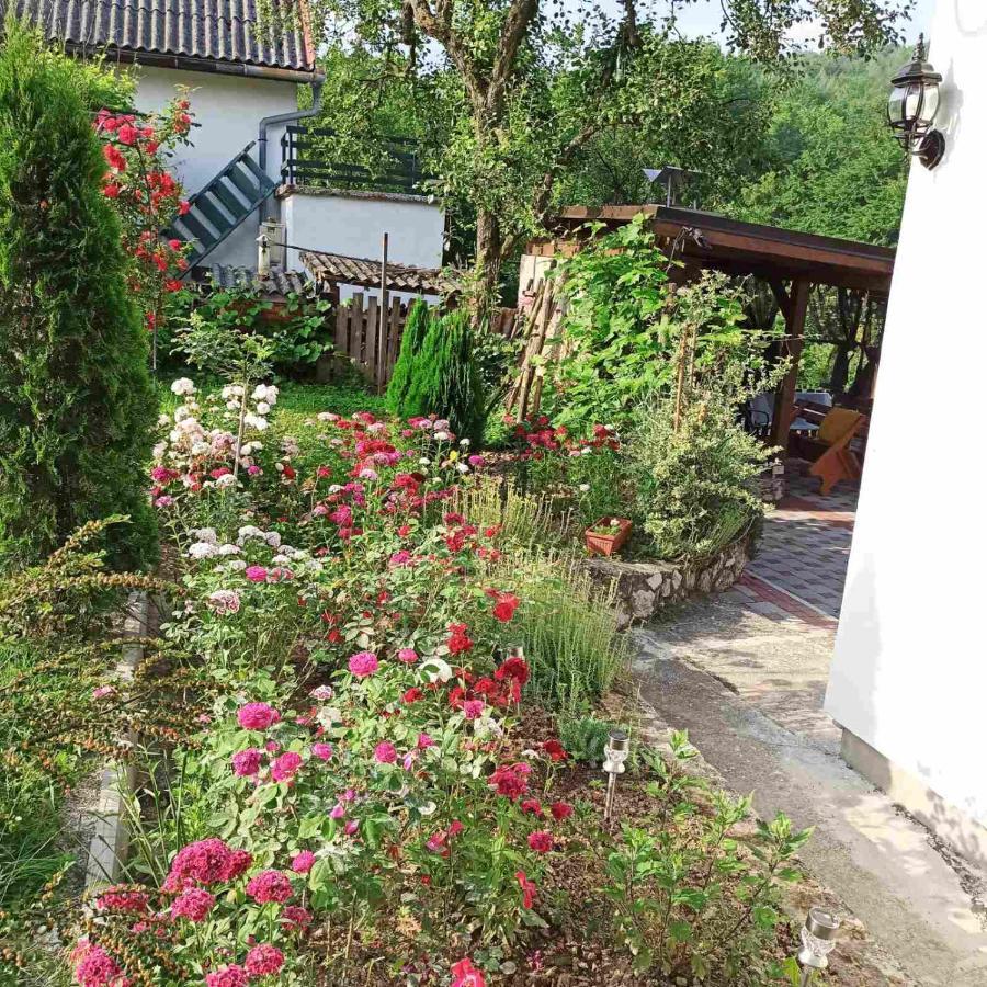 Guest House Bee Високо Екстериор снимка