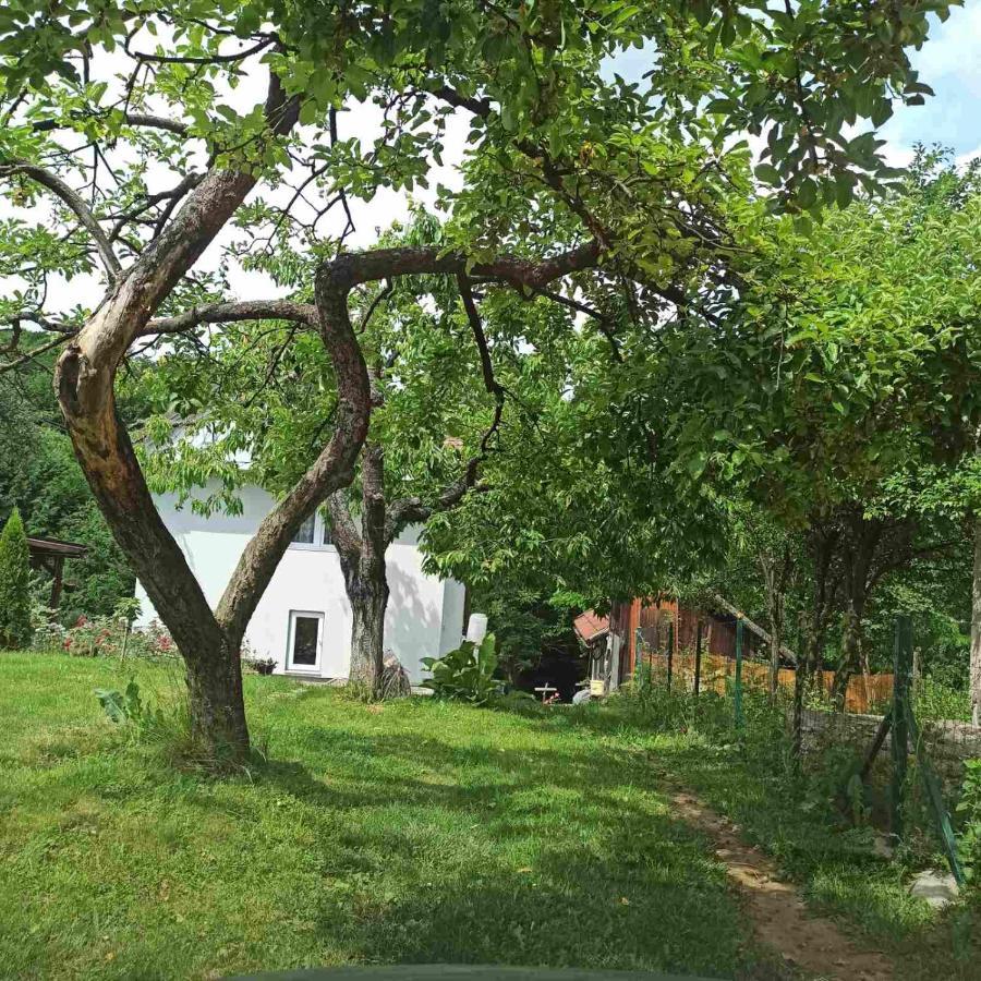 Guest House Bee Високо Екстериор снимка
