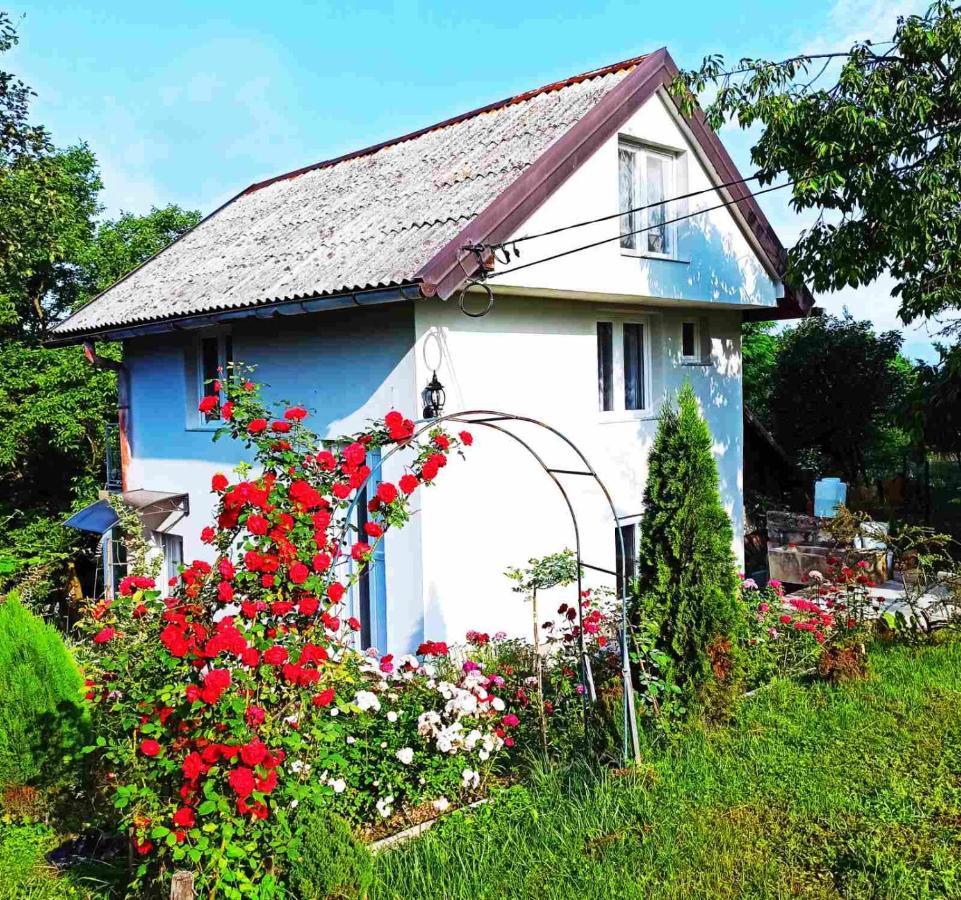Guest House Bee Високо Екстериор снимка