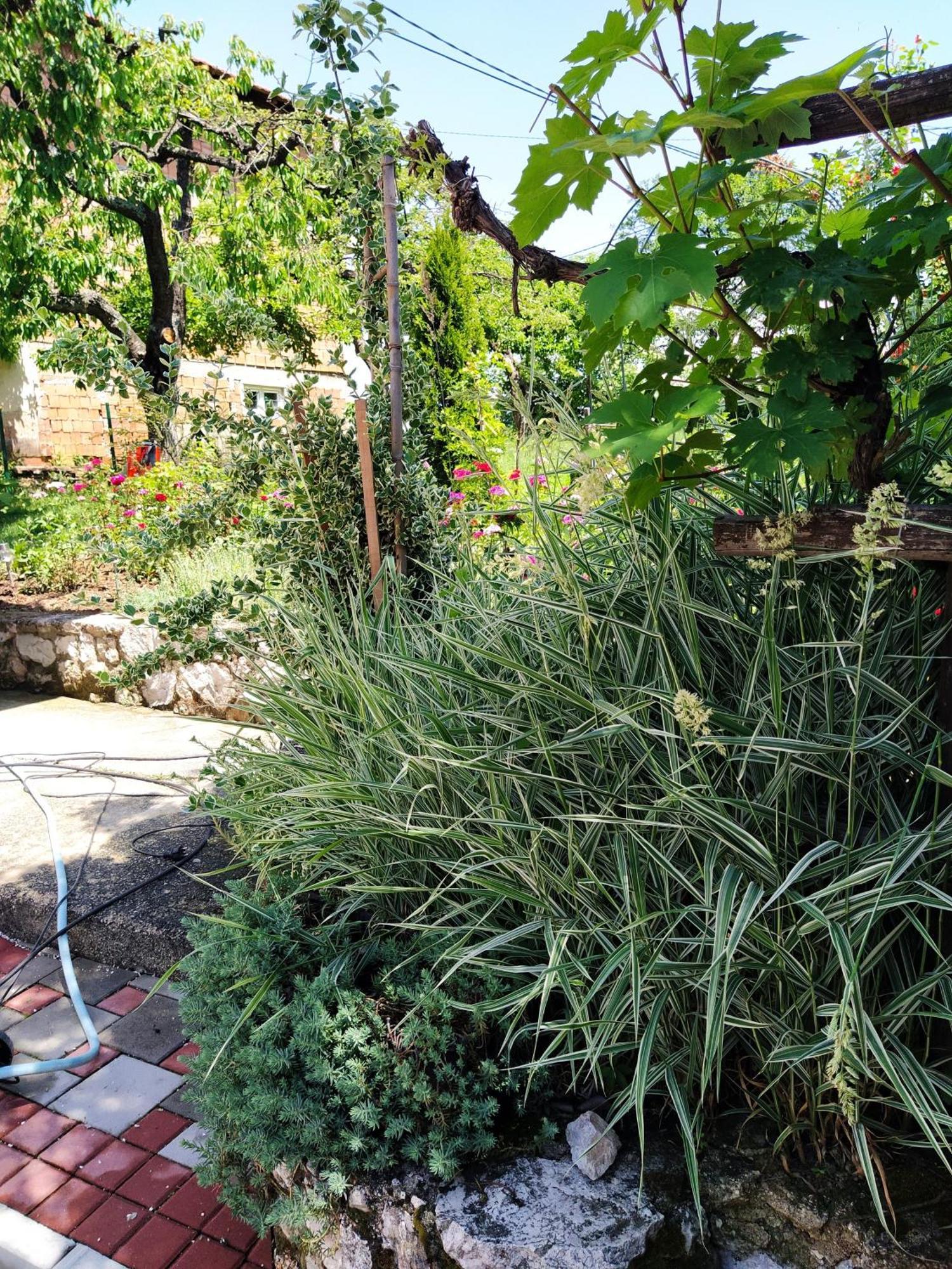Guest House Bee Високо Екстериор снимка