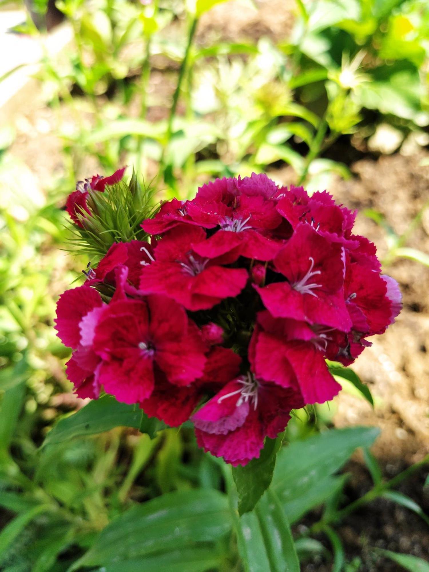 Guest House Bee Високо Екстериор снимка