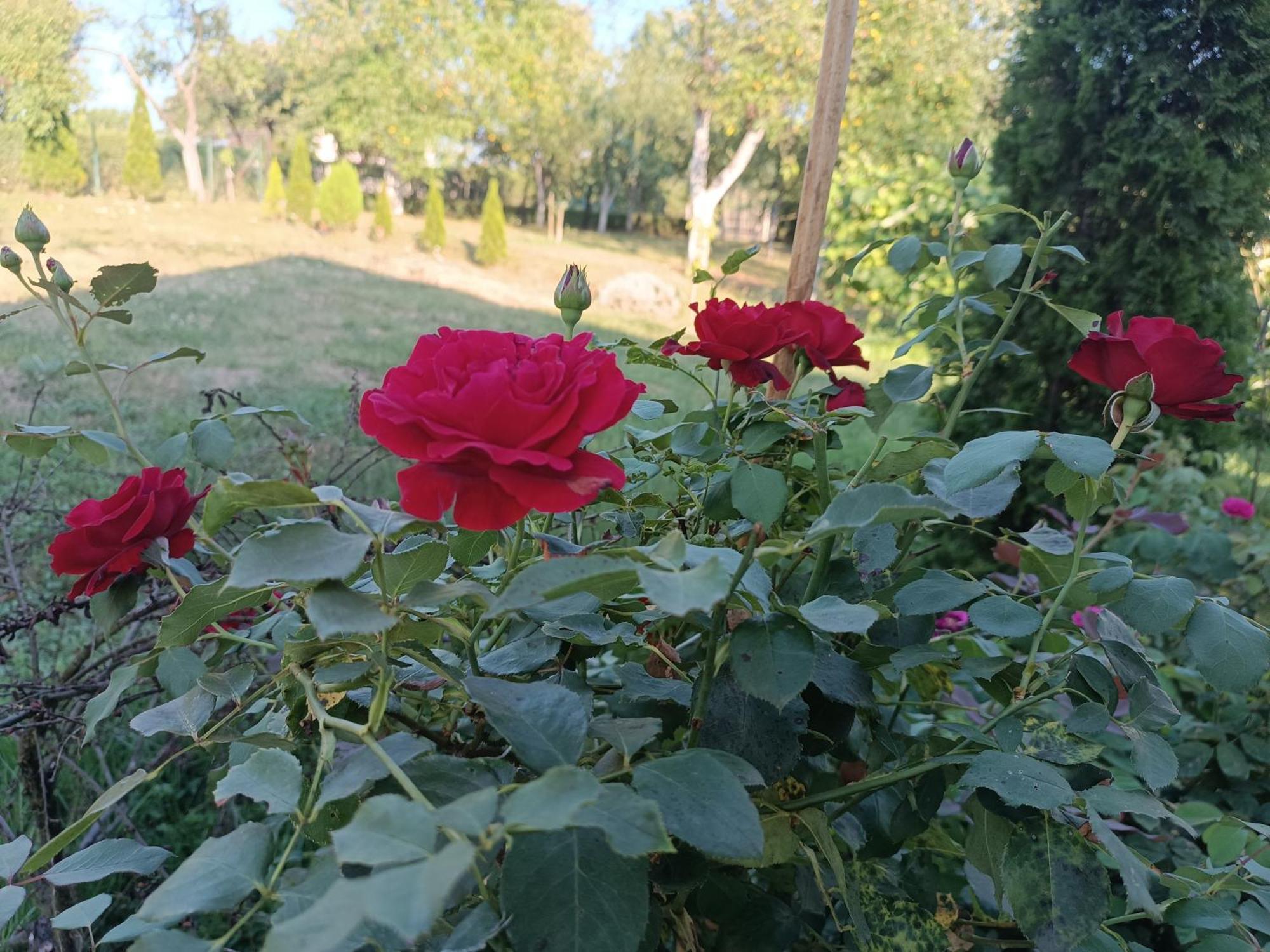 Guest House Bee Високо Екстериор снимка